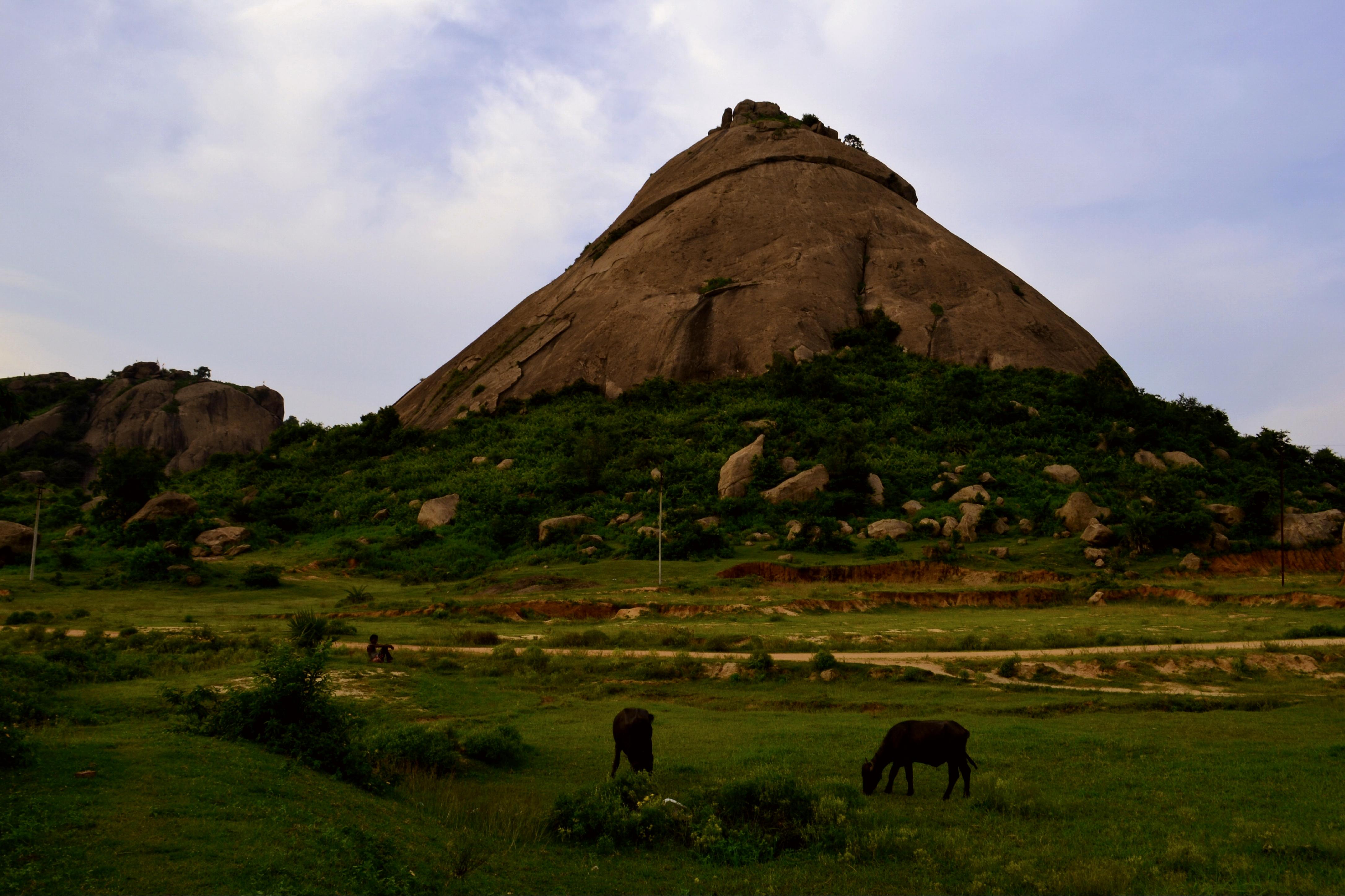 joy chandi hill